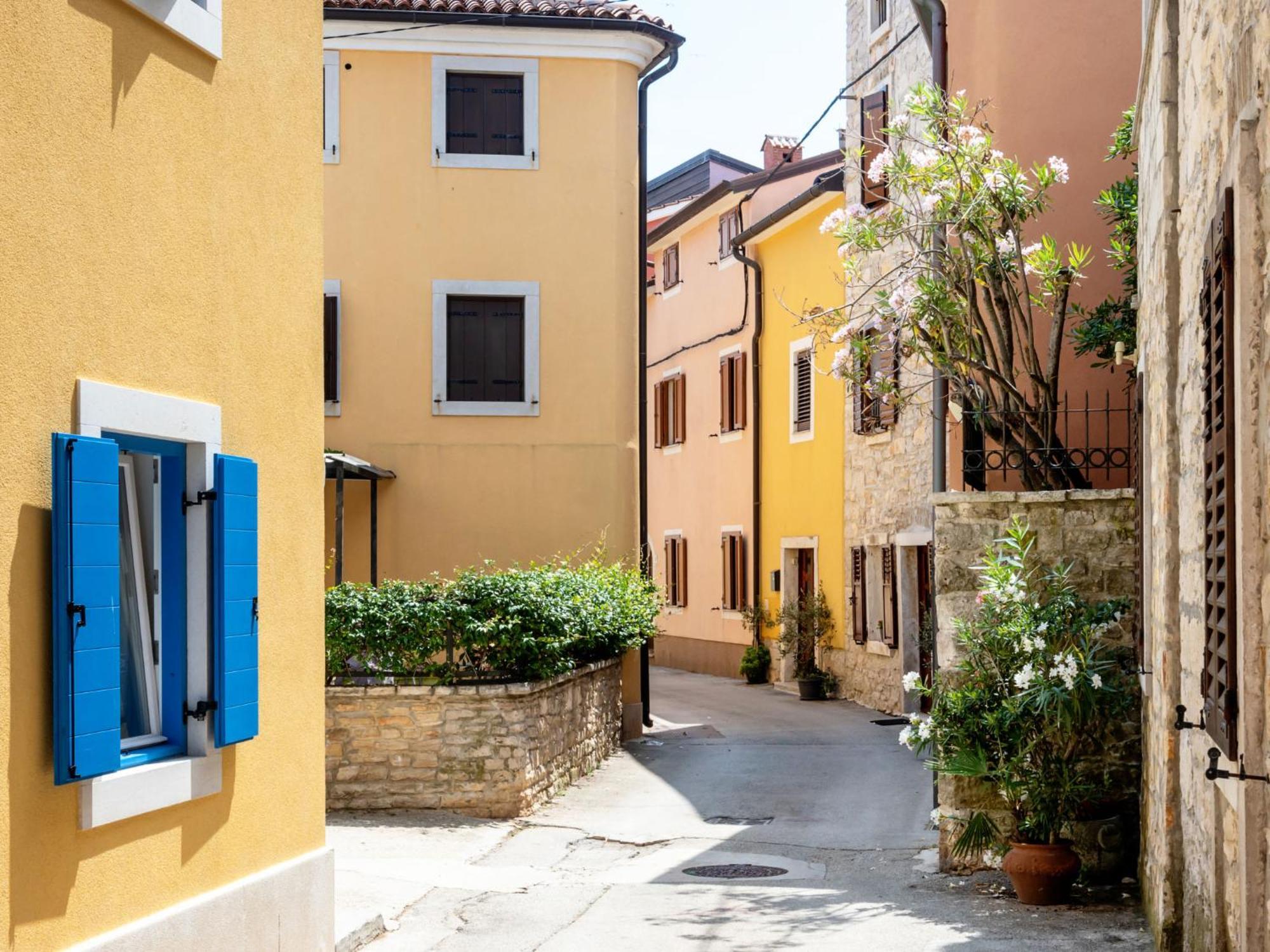 Holiday Home Villa Joy Novigrad Istria Dış mekan fotoğraf
